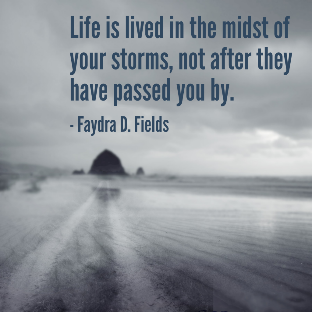 Maximum Axioms for Mental Acuity: Lie is lived in the midst of your storms, not after they have passed you by. - Faydra D. Fields
